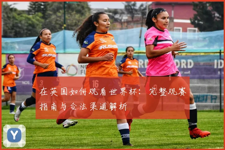 在英国如何观看世界杯：完整观赛指南与合法渠道解析