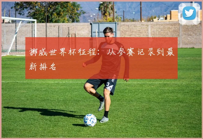 挪威世界杯征程：从参赛记录到最新排名